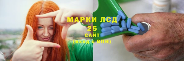 хмурый Арсеньев