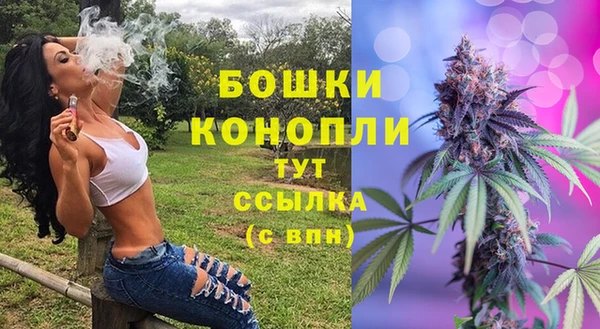 хмурый Арсеньев
