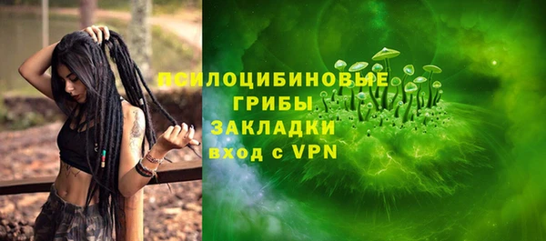 хмурый Арсеньев