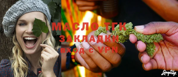хмурый Арсеньев