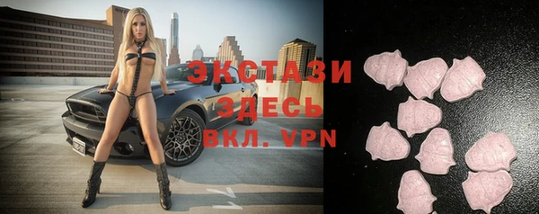 хмурый Арсеньев