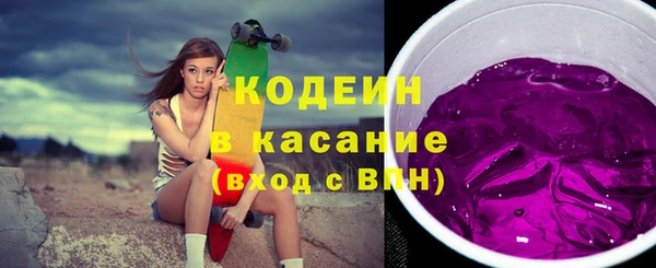 хмурый Арсеньев